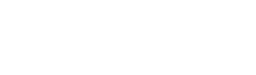 TikTok Ads